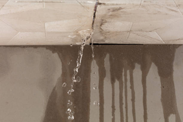 Professional Burst Pipe Cleanup technician working in Rosedale, WA